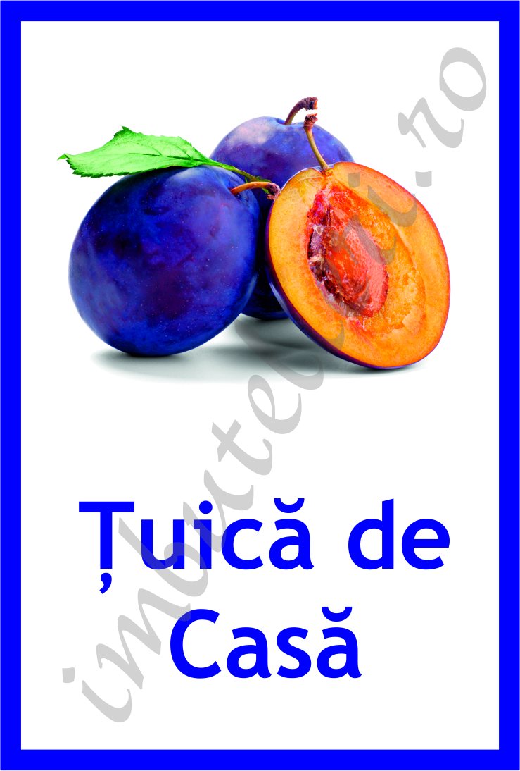 Eticheta autocolanta prune 7