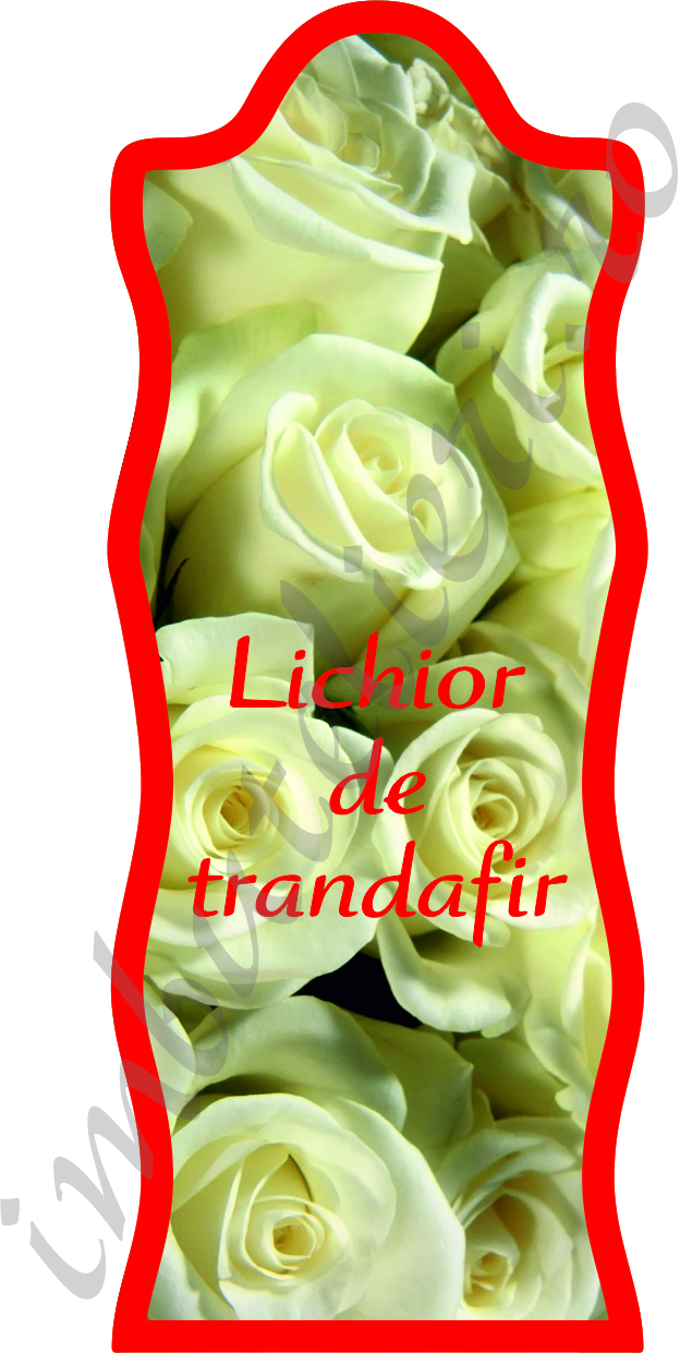 Eticheta autocolanta trandafiri 1