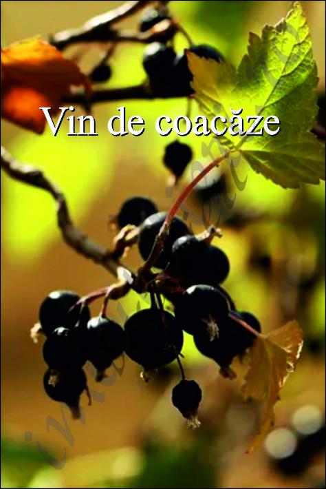 Eticheta autocolanta coacaze 6