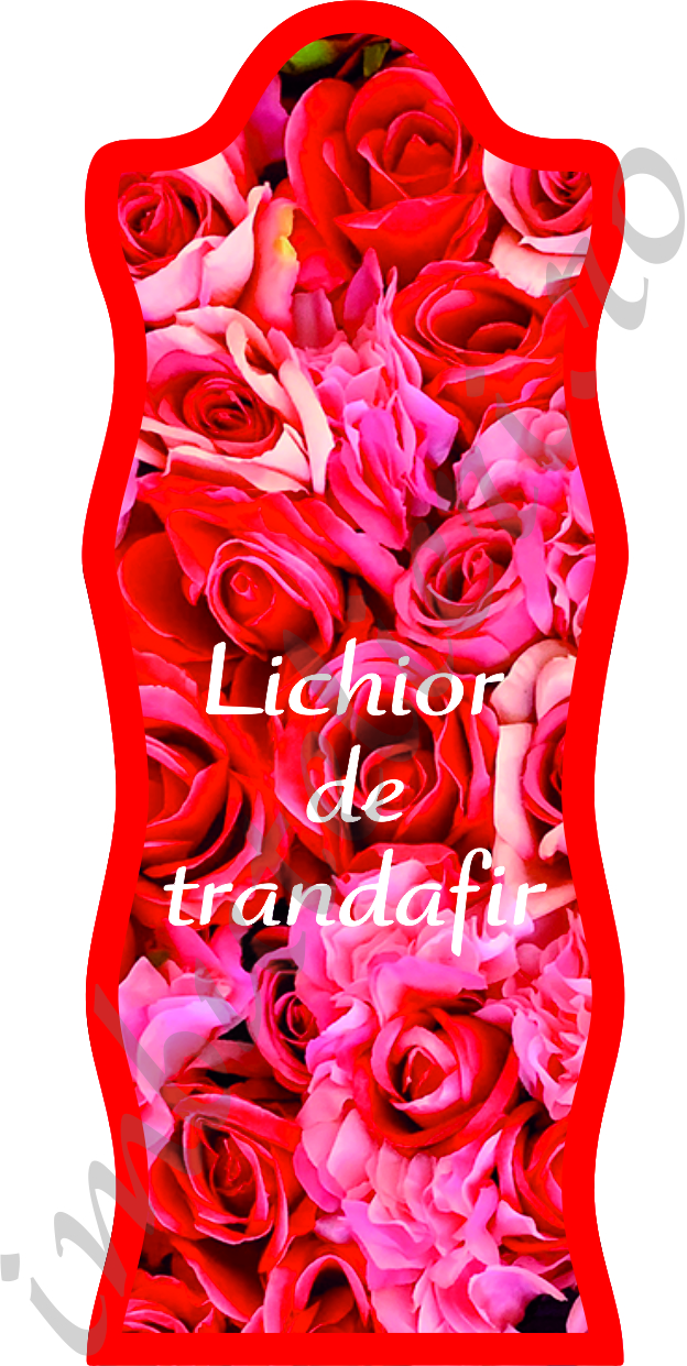 Eticheta autocolanta trandafiri 2