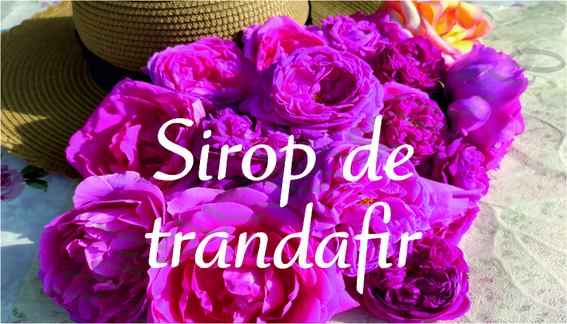 Eticheta autocolanta trandafiri 3