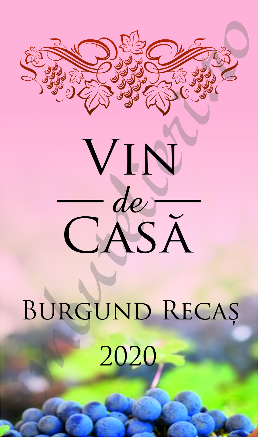 Eticheta autocolanta vin de casa 2