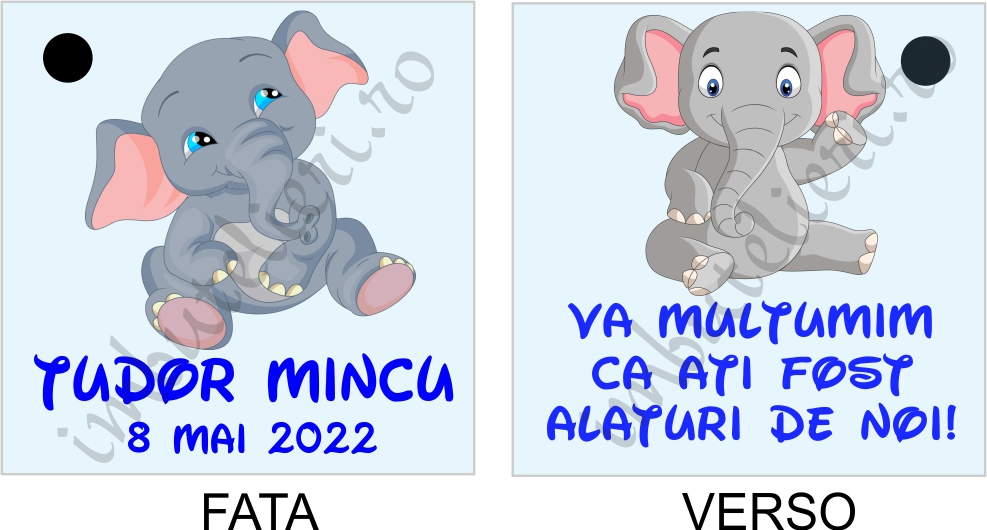 Eticheta carton botez 2